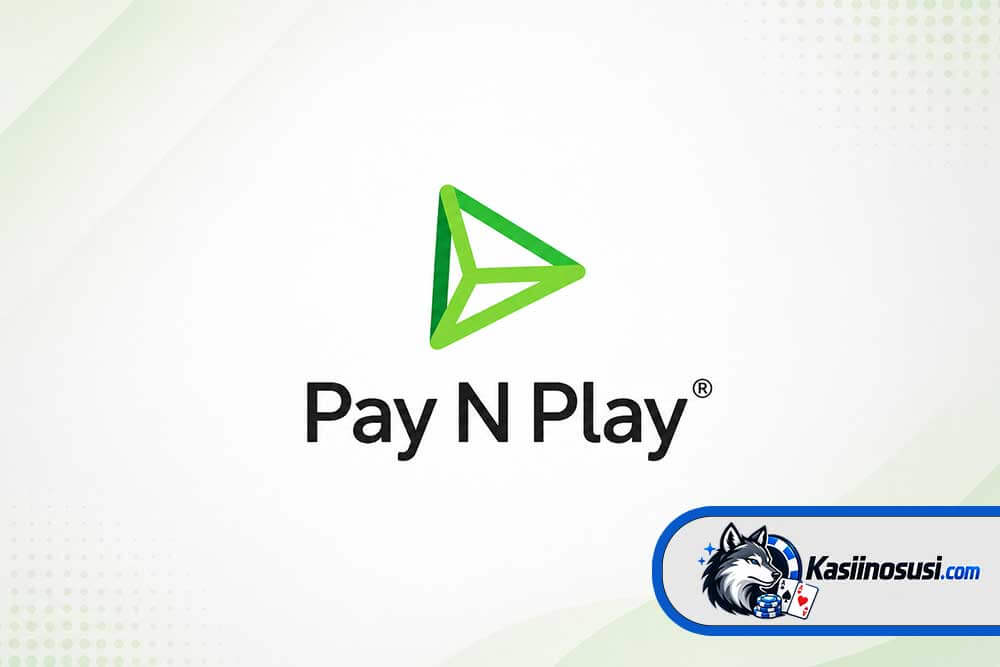 Pay N Play logo